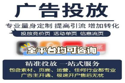 短视频信息流营销实战：小红书的成长之路